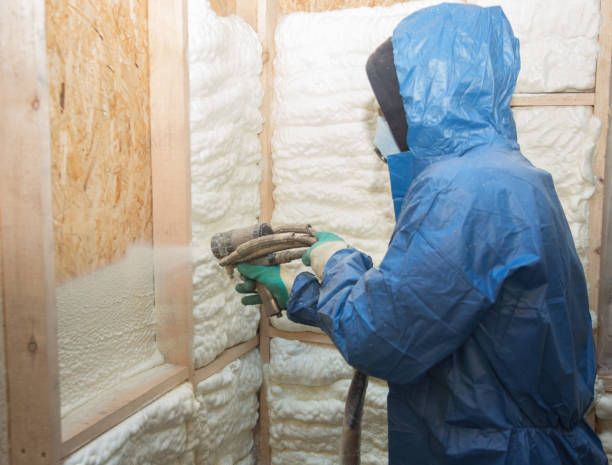 Best Basement Insulation  in USA